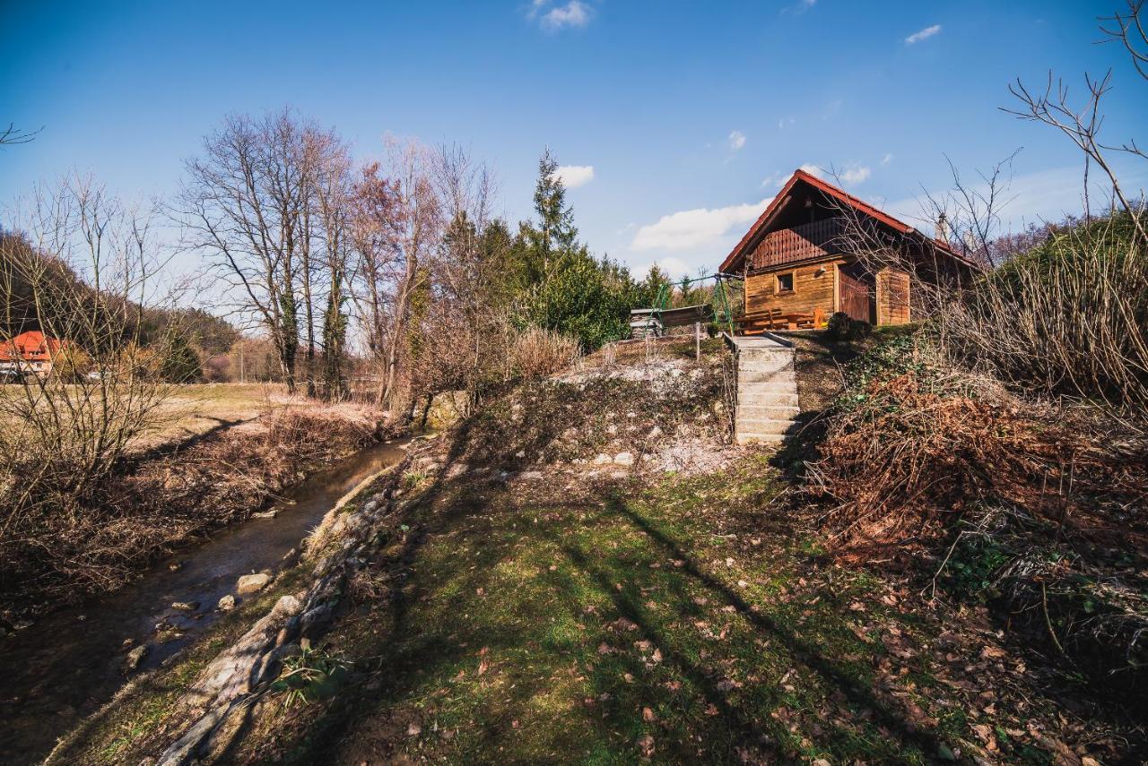 Wooden Cabin Zurej With Hot Tub Bukovje v Babni Gori Экстерьер фото